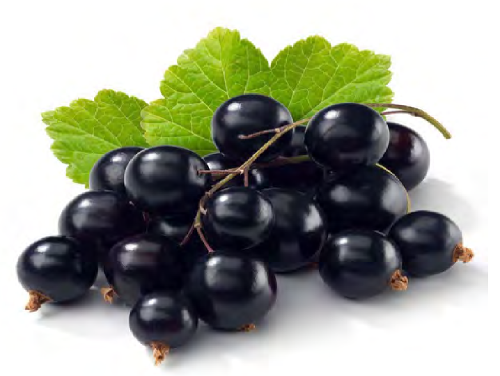 Maqui berry organic freeze-dried powder